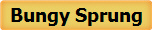 Bungy Sprung